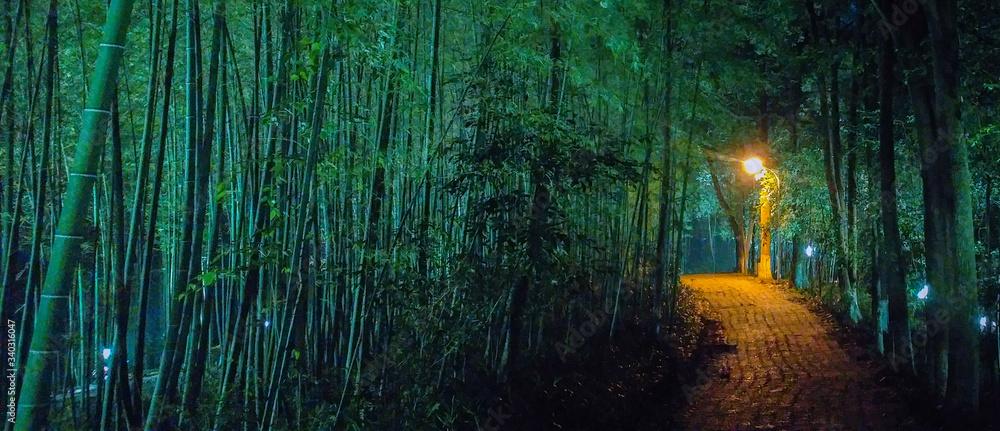 Walkway Amidst Trees At Night - obrazy, fototapety, plakaty 