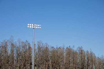 Sport field lights standing tall against a bright blue sky during the day