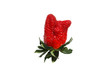 Ugly organic strawberry isolated on white background. Trendy ugly food. Funny, unnormal fruit concept.