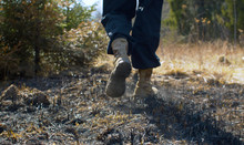 Man's Legs Walking In The Place Of An Extinct Forest Fire