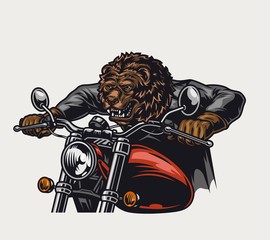 Poster - Concept of aggressive bear head motorcyclist