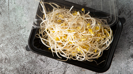 Wall Mural - Bean sprout in black plastic container 