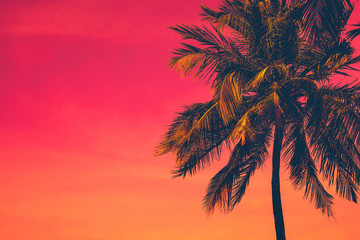 Golden tropical sunset with dark silhouette of coconut palm tree. Trendy vintage toned summer travel background with copy space. Retro style creative design concept. Open composition. 
