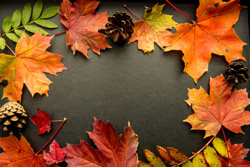 autumn background with colored leaves on wooden board.