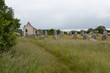 Menhirs from 