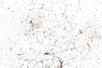 Wall Mural - Dry cut green and yellow grass leaves, dirt dust isolated on white background and texture, top view