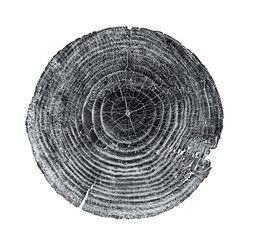 Wall Mural - Black and white wood texture stamp art. Detailed tree ring design. Rough organic tree rings end grain.