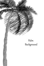 Minimalistic Illustration In Black Color. Palm Tree And The Sun. Vertical Format. Isolated On White Background. Vector Cover Template, Flyer, Banner. Drawing Of Palm Leaves, Tree Trunk In Flat Style