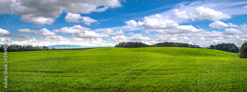 Fotografía panoramic view fields winter wheat at hilly terrain in spring with cloudy sky