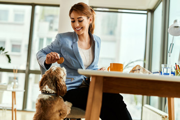 Wall Mural - Smiling businesswoman feeding her dog with a cookie in the office.