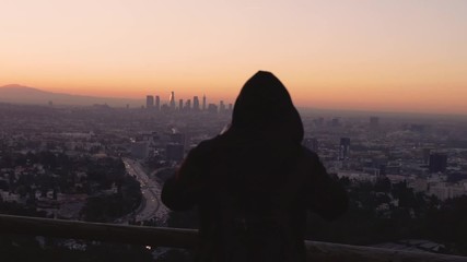 Wall Mural - Los Angeles Skyline