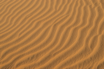  ripples in the sand