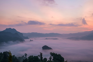 Wall Mural - Traveling to see the sea of mist and sunrise in the morning at the view of Phu Lanka, Phayao Province, Thailand