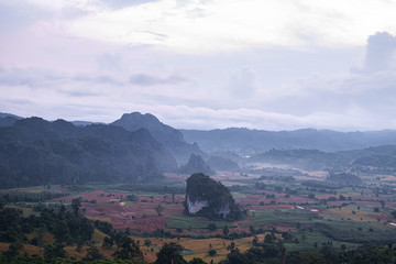 Wall Mural - Traveling to see the sea of mist and sunrise in the morning at the view of Phu Lanka, Phayao Province, Thailand