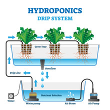 Hydroponics Vector Illustration. Labeled Drip System Explanation Scheme.