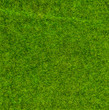 © nattaphol - Close-up green artificial grass for texture and background.