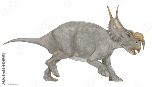 エイニオサウルス 白亜紀の恐竜 角竜類 トリケラトプスやカスモサウルス類よりも原始的なセントロサウルスの仲間である 鼻先の角 が大きく下にねじ曲がったような一本の角を持つ襟飾りにはやや平板な2本の突起がある 角竜類としては中型であるが 異様で個性的な風貌から エイニオサウルス 白亜紀の恐竜 角竜類 トリケラトプスやカスモサウルス類よりも原始的なセントロサウルスの仲間である 鼻先の角 が大きく下にねじ曲がったような一本の角を持つ襟飾りにはやや平板な2本の突起がある 角竜類としては中型であるが 異様で個性的な風貌から