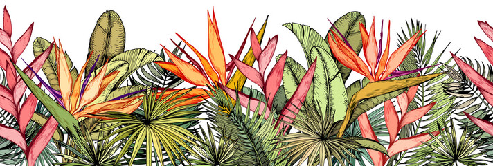  Bezszwowa granica z tropikalnymi liśćmi palmowymi, egzotycznymi kwiatami heliconia i strelitzia.