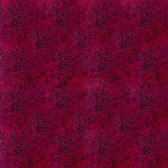 Wall Mural - Red dragon fruit. Background, texture.