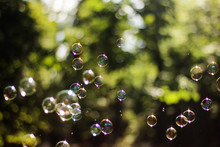 Burbujas De Jabon En Un Parque