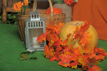 Still Life With Pumpkins And Maple Leaves