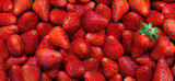Fresa sobre montaña de fresas en fondo horizontal.