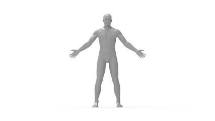 Wall Mural - 3D rendering of a human being anatomy full standing male man isolated