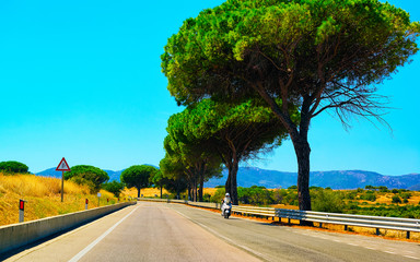 Canvas Print - Motorcycle at the road of Costa Smeralda in Sardinia reflex