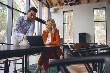 Wall Mural - Pleased focused businesswoman staring at a laptop screen