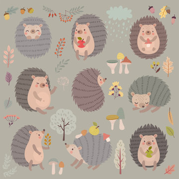 Fototapete - Hedgehog set hand drawn style. Cute Woodland characters playing, sleeping, relaxing and having fun.