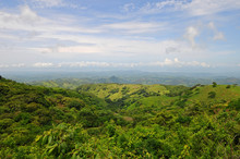 Landscape Of The Cloud Forest Of Monteverde National Park Near The City Of San Jose, Costa Rica, Central America.