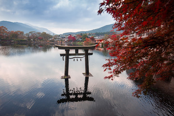 Kinrin lake in Yufuin town , Kyushu region of Japan:Yufuin is a popular Onsen resort in Kyushu, Japan. small lake with clear water from a hot spring with coffee shop, restaurant, Morning Mist at lake.