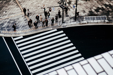 Wall Mural - Modern city pedestrain crosswalk from aerial view. Street photo of Tokyo - Japan