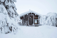 Wooden Cabin In A Snowy Forest In Finland