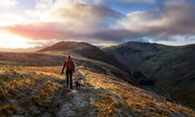 A Hiker And Their Dog Walking Towards The Mountain Summit Of High Spy From Maiden Moor At Sunrise On The Derwent Fells In The Lake District, UK.