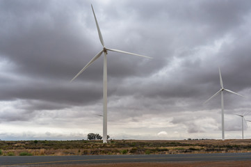 Wall Mural - Wind farm with wind turbines windmills generating sustainable electricity