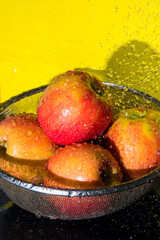 red apples with drops of water on a yellow background