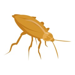 Wall Mural - Gold cockroach icon. Isometric of gold cockroach vector icon for web design isolated on white background