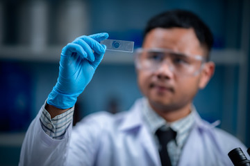 Wall Mural - scientists are inventing chemicals for medical use.