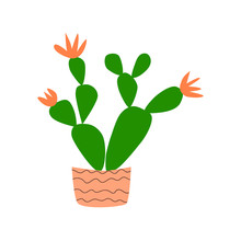 Blooming Cactus In A Flower Pot, Hand Drawn Simple Flat. Succulent Home Plant With Pink Buds For The Design Of Postcards, Banners, Posters. Stock Vector Illustration Isolated On White Background.