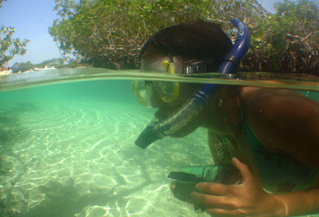 underwater scene caribbean sea venezuela