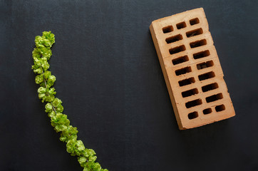 Brick and branch with green leaves.