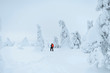 © Rawpixel.com - Landscape photographer trekking in a snowy Lapland, Finland