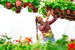© zorandim75 - Woman in a greenhouse. Girl holding vase with green plant.