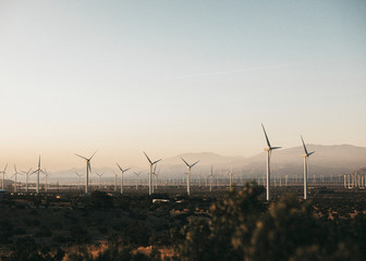 Wind turbines in the Palm Springs desert, USA