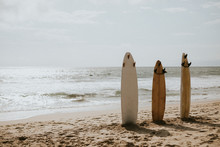 Three Surfboards No People