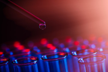 Test tube row. Concept of medical or science laboratory, liquid drop droplet with dropper in blue red tone background, close up, macro photography picture.