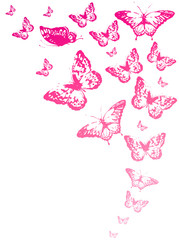 Wall Mural - butterfly541