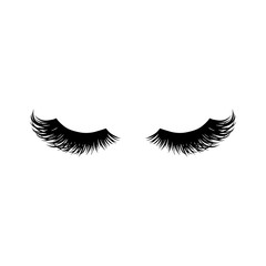 Wall Mural - Long black lashes vector illustration. Beautiful Eyelashes isolated on white