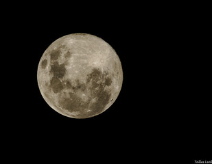 full moon in the night
